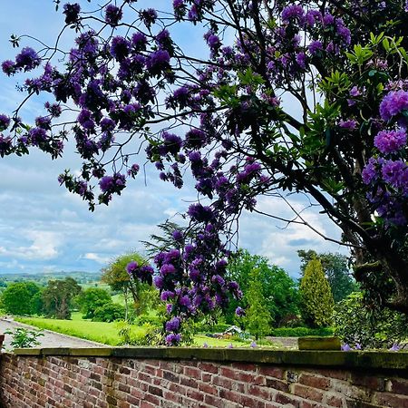 Llanerchydol Hall Suites ウェルシュプール エクステリア 写真