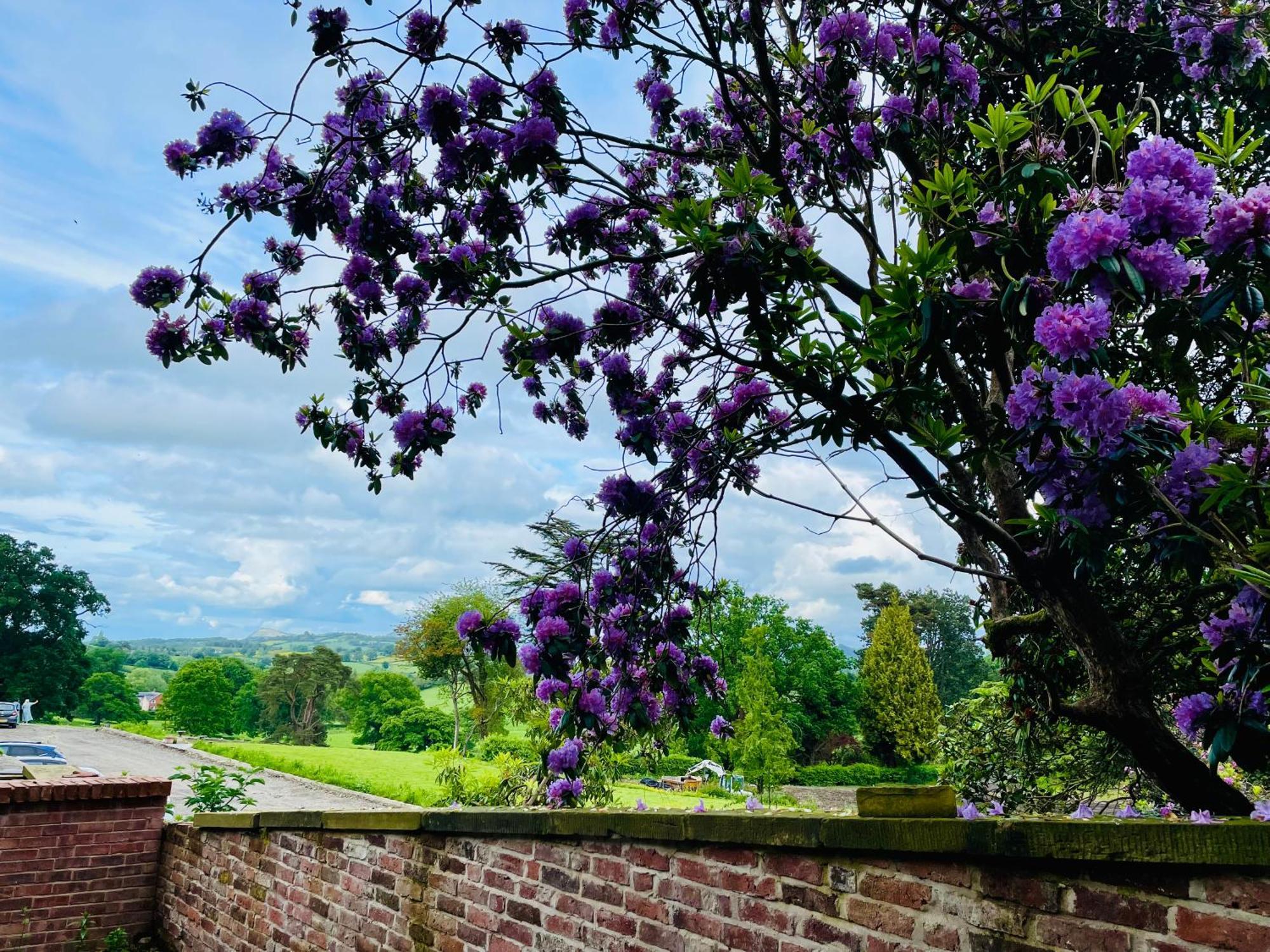 Llanerchydol Hall Suites ウェルシュプール エクステリア 写真