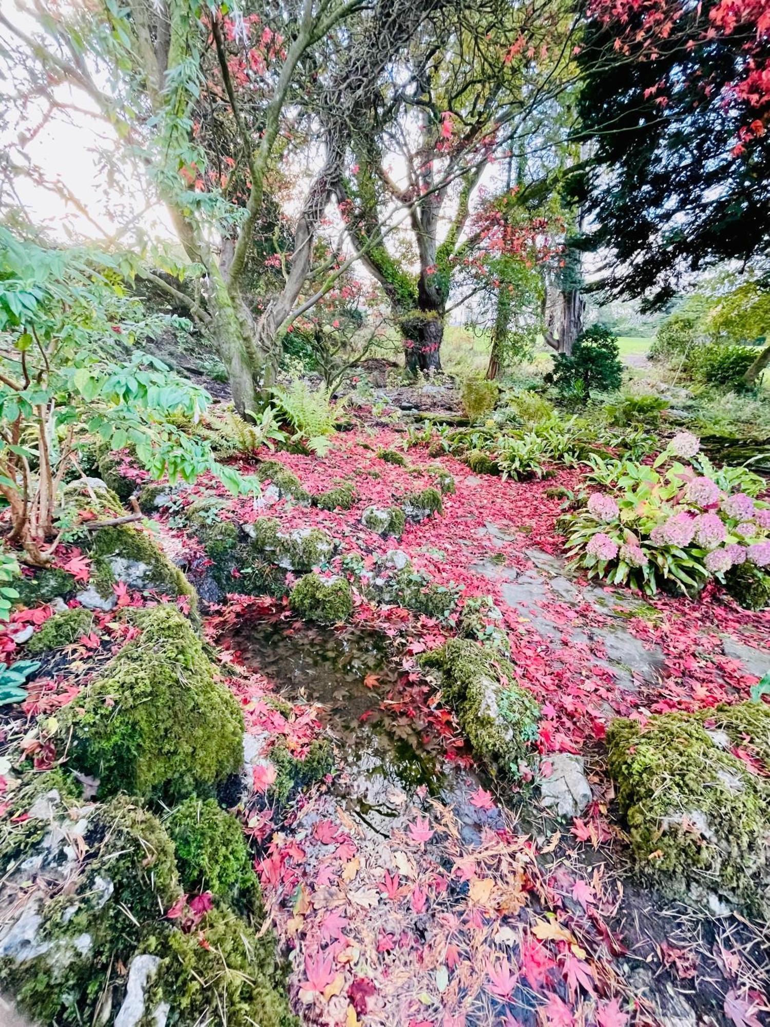Llanerchydol Hall Suites ウェルシュプール エクステリア 写真